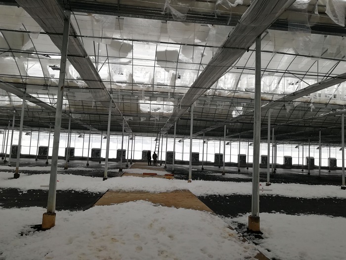 圖片關鍵詞 圖片關鍵詞