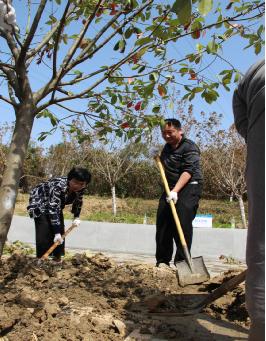 圖片關鍵詞 圖片關鍵詞