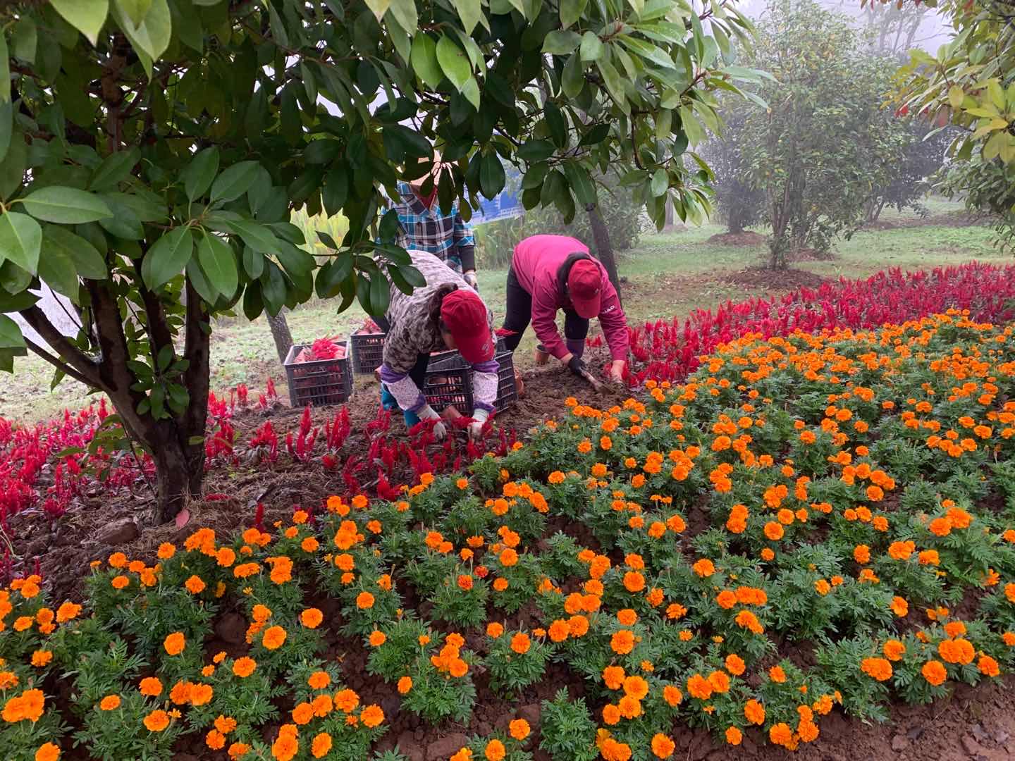 圖片關鍵詞 圖片關鍵詞