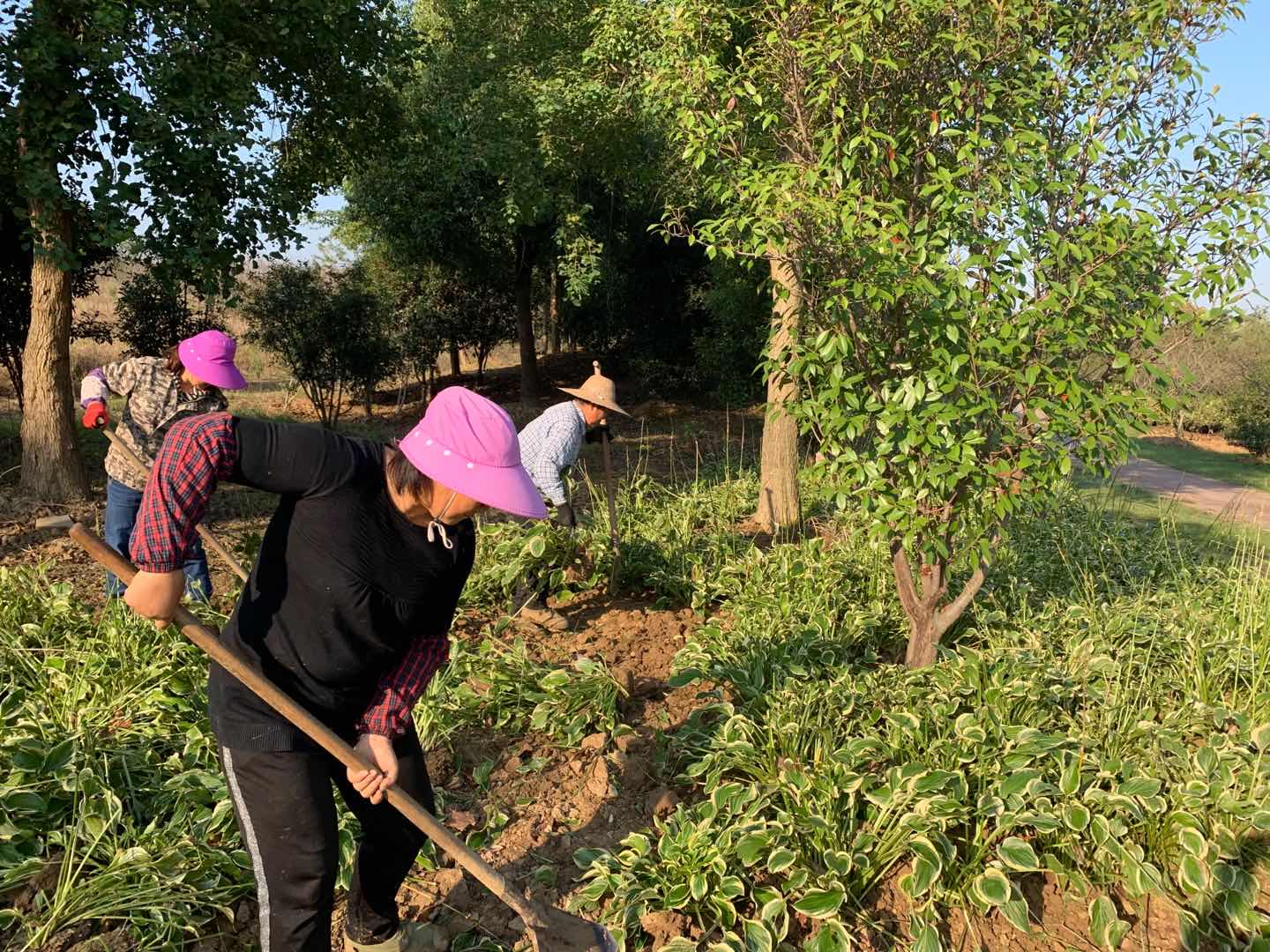 圖片關鍵詞 圖片關鍵詞