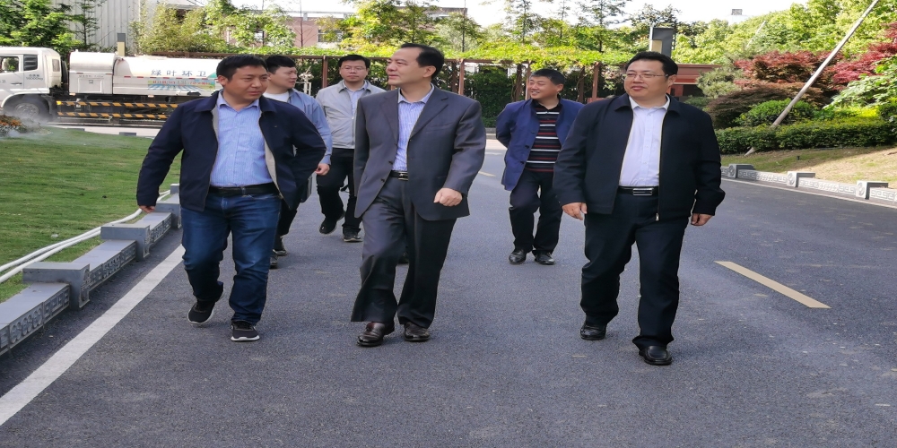 汪斌赴和合生態(tài)綠葉集團(tuán)調(diào)研工作