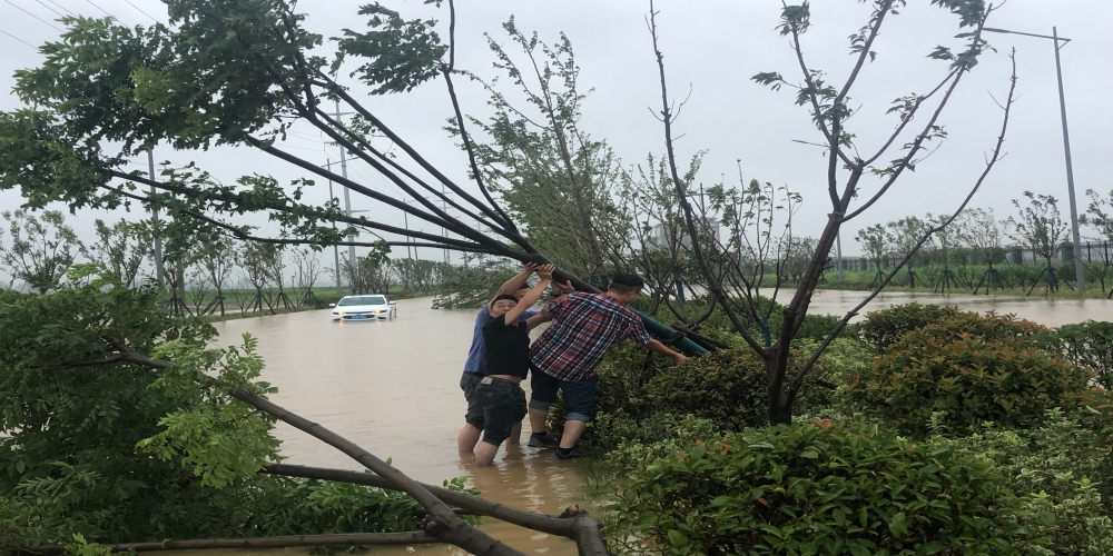 臺風無情人有情 項目一線見初心——渦陽綠葉公司全力以赴應對臺風“煙花”