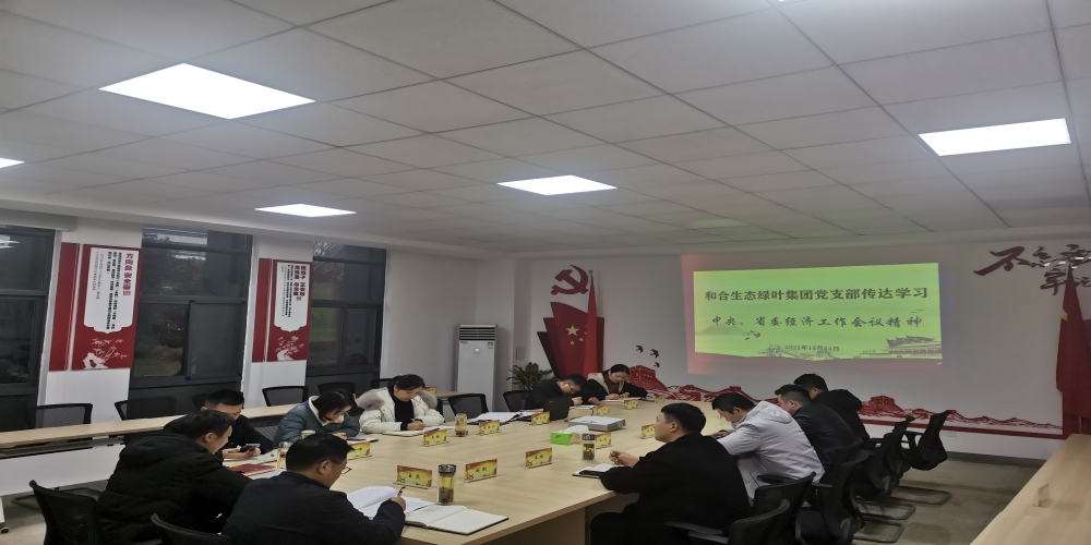 和合生態(tài)綠葉集團黨支部傳達學習 中央、省委經濟工作會議精神