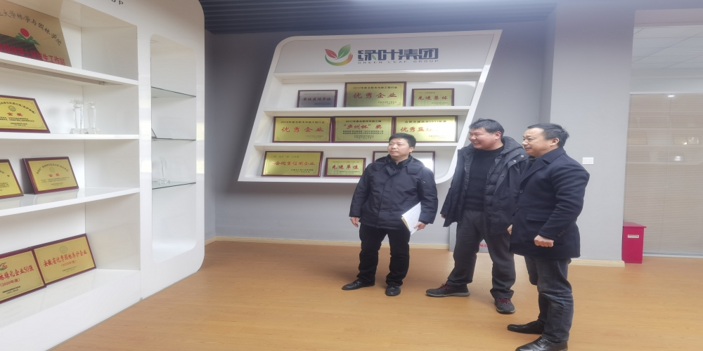 合肥市經開區人事勞動局、人力資源中心赴綠葉集團考察調研