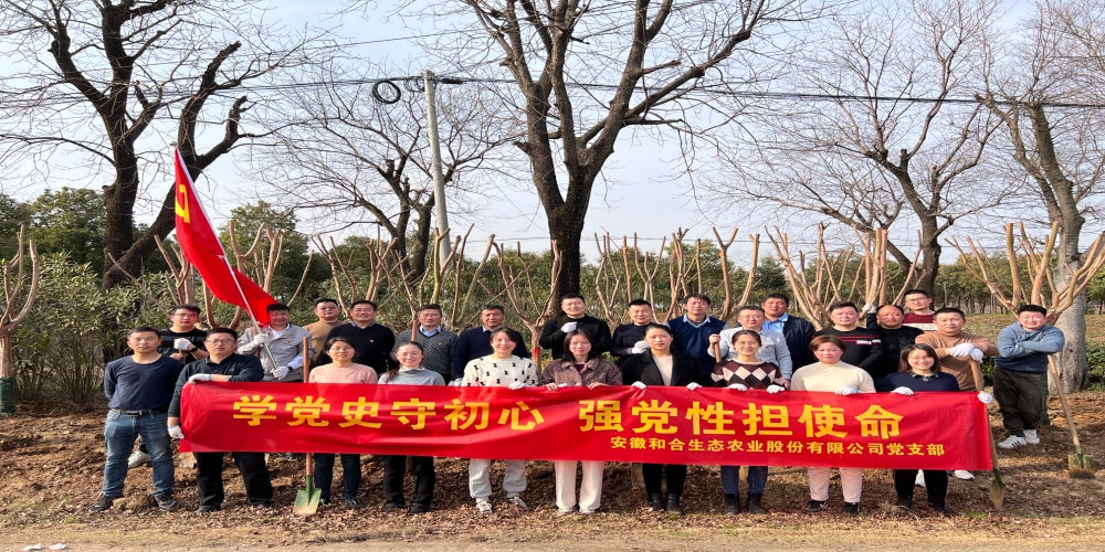 3月植樹添綠正當(dāng)時(shí)——合肥綠葉集團(tuán)在小廟基地開展義務(wù)植樹活動(dòng)
