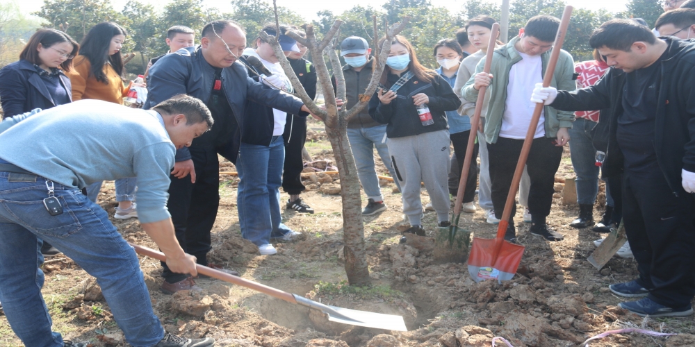 省供銷集團(tuán)及各控股企業(yè)團(tuán)員青年赴綠葉集團(tuán)小廟基地開展植樹活動(dòng)