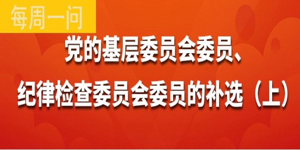 黨的基層委員會(huì)委員、記錄檢查委員會(huì)委員的補(bǔ)選（上）