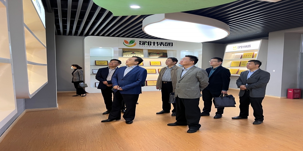 安徽省住房和城鄉(xiāng)建設廳副廳長劉孝華赴綠葉集團考察調(diào)研