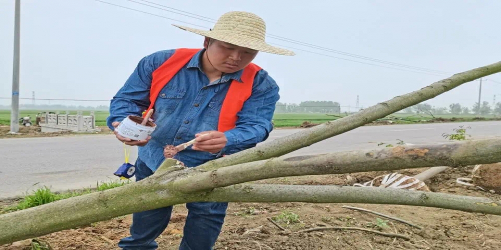綠葉集團張凡榮獲“2021年度省供銷集團 杰出青年”稱號