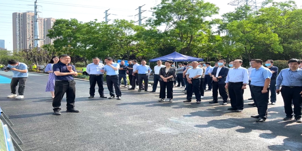 蜀山區四大班子考察綠葉集團承建的南門庫景區項目