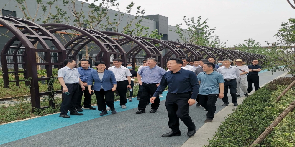 虞愛華視察綠葉集團承建的南門庫景區項目
