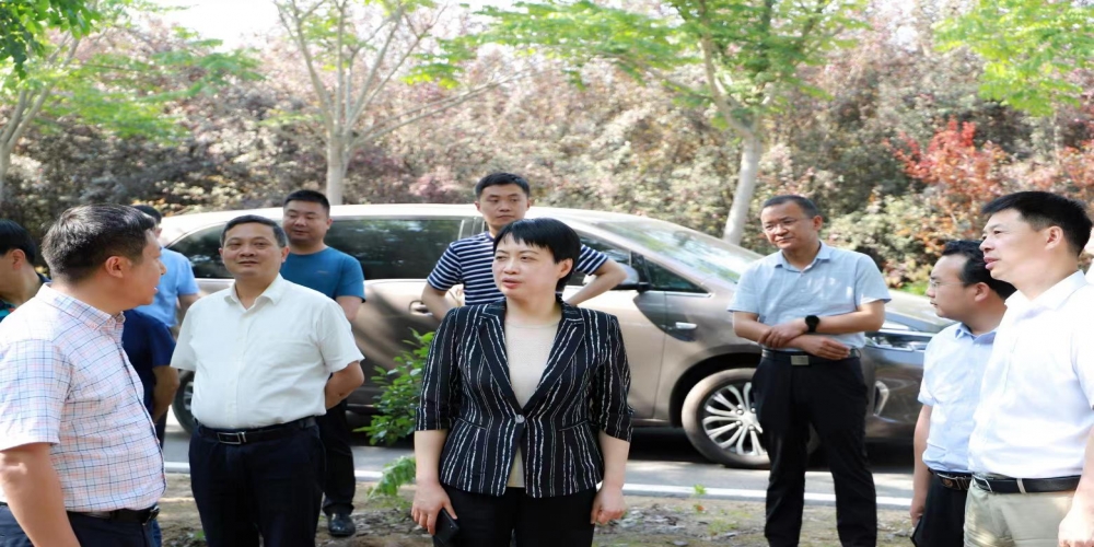 蜀山區(qū)委書記王海霞視察綠葉集團(tuán)小廟基地
