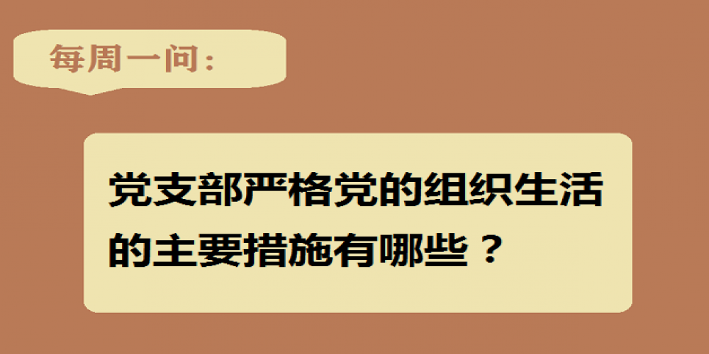 黨支部嚴格黨的組織生活的主要措施有哪些？