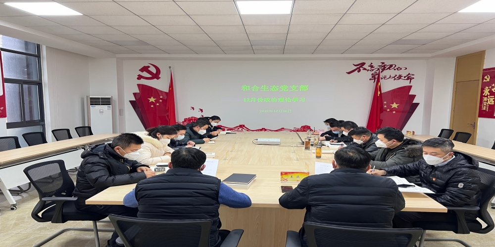 和合生態(tài)黨支部組織開展12月份政治理論學習