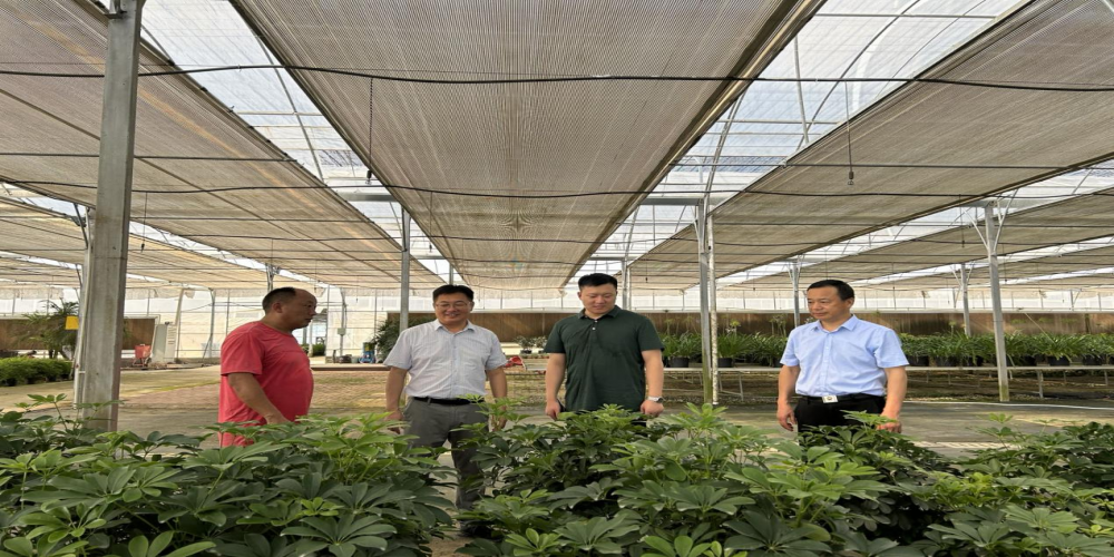 綠葉集團(tuán)安環(huán)領(lǐng)導(dǎo)小組赴小廟基地開展安全專項檢查