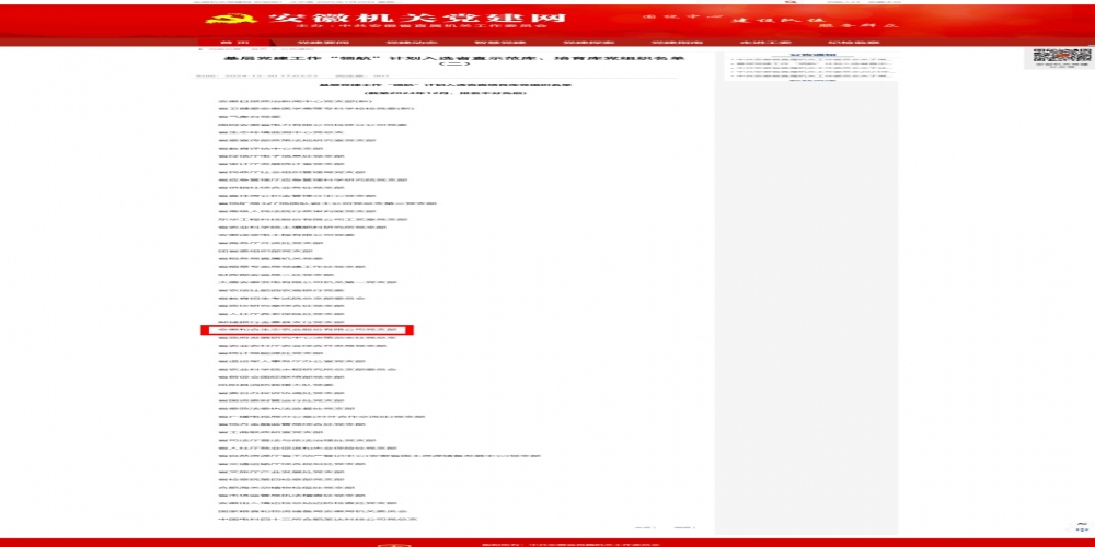 喜報！和合生態黨支部入選安徽省直機關基層黨建工作“領航”計劃培育庫
